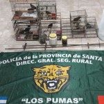 OPERATIVO REALIZADO POR LOS PUMAS EN LA BRAVA