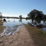 Río San Javier 12 - 06 - 17 - 1