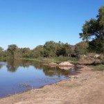 Río San Javier 12 - 06 - 17 - 2