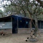 Homicidio Colonia Teresa Zona de Isla