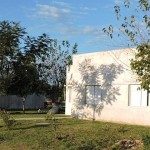 viviendas colonia teresa