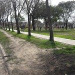 Plaza Mecca - Prohibido estacionar