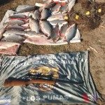 ROMANG- DECOMISAN PESCADO Y SECUESTRAN ARMA DE FUEGO