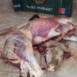 Carne Vacuna - Los Pumas