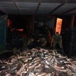 Decomiso de pescado 19 - 09 - 17 - 1