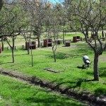 OBRAS Y REFACCIONES EN EL BOULVERAD CANDIOTTI 3