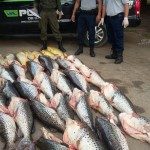 Decomiso 23 - 10 -17 - 2