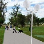 PEATONAL EN EL BOULEVARD