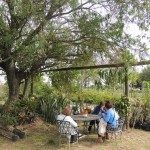 botanico de la costa3