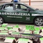 GENDARMERÍA SECUESTRÓ MUNICIONES Y UN ARMA DE FUEGO EN LA RUTA 1