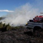 Incendio de campo 18 - 11 - 17 - 4