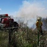 Incendio de campo 18 - 11 - 17 - 5