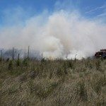 Incendio de campo 18 - 11 - 17 - 6