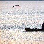 LA PROVINCIA CONVOCA A UNA AUDIENCIA PÚBLICA DE PESCA