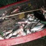 LOS PUMAS DECOMISARON PESCADO EN EL DEPARTAMENTO GARAY