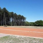 Pista Atletismo 14 - 11 - 17