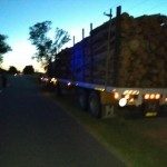 DETUVIERON A UN CAMIONERO ALCOHOLIZADO EN LA RUTA 1