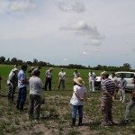 LA MESA NACIONAL DEL ARROZ SUSTENTABLE SE REUNIÓ EN SAN JAVIER 1