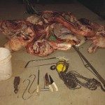 Procedimiento Los Pumas 14 - 12 - 17