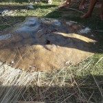 Raya 20 - 12 - 17 - 1