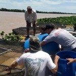 LA PROVINCIA REFUERZA ACCIONES DEL PLAN DE PISCICULTURA