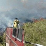 Se quemaron mas de 200 hectáreas en La Brava