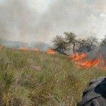 UNAS 250 HECTÁREAS YA SE QUEMARON EN CACIQUE ARIACAIQUÍN 1