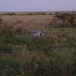 ACCIDENTE 25 - 02 - 18 - 1