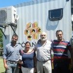 Castraciones Perros y Gatos 1