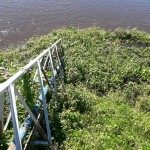 Contaminación Natural