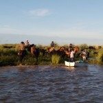Evacuación de ganado 1