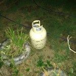 Garrafa de 10 - Robada