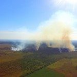 Incendio Forestal Saladero 1