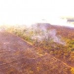 Incendio Forestal Saladero 2