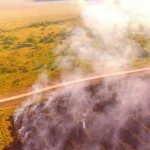 Incendio Forestal Saladero 4