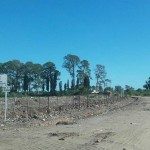 MULTAS DE 10 MIL PESOS PARA QUIENES TIREN BASURA EN LA CRIOLLA