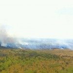 Se quemaron más de mil hectáreas