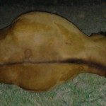 accidente 19 - 02 - 18 - 2