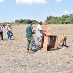 EL SENADOR BAUCERO PARTICIPO DE LA LIBERACIÓN DE UN EJEMPLAR DE AGUARÁ GUAZÚ EN ALEJANDRA.