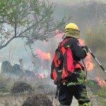 Incendios Forestales 1