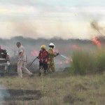 Incendios Forestales 2