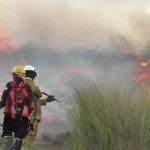 Incendios Forestales 3