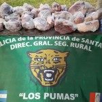 DOS HOMBRES APREHENDIDOS POR ABIGEATO