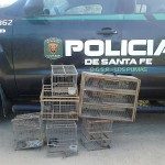 Los Pumas 04 - 04 - 18