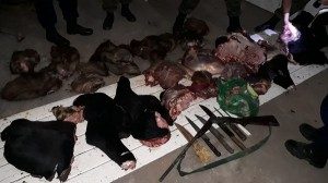 Abigeato en Alejandra 1