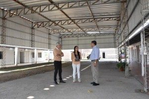 Baucero 30 - 05 - 18