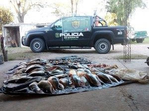 Decomisaron pescado en Romang