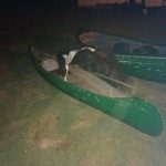 Los Pumas 30 - 04 - 18 - 1