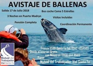 Mutual Vial Turismo 5