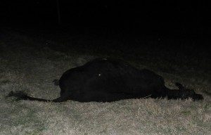 ACCIDENTE 26 - 07 - 18 - 2